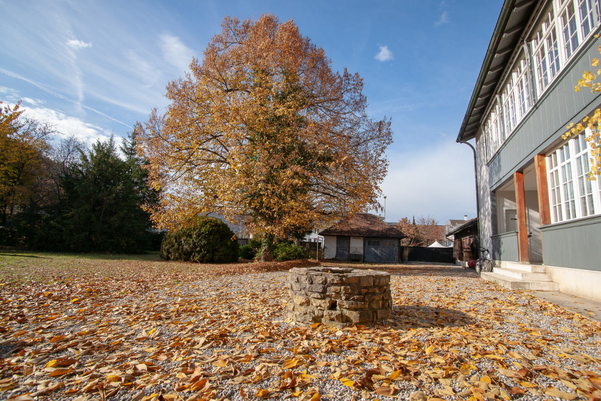 Garten der Distillery im Herbst