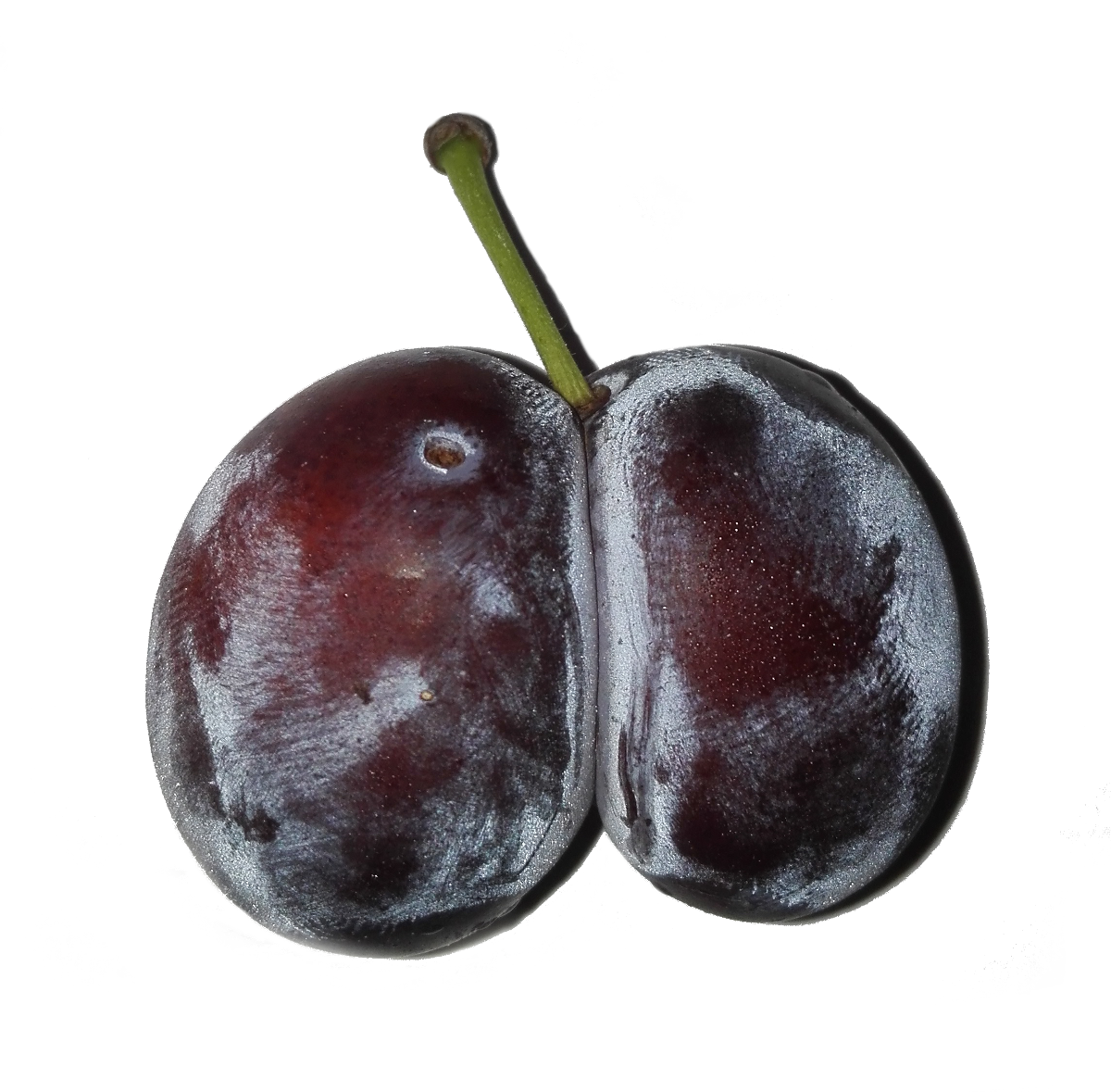 Vorbereitung der Früchte für die Maische