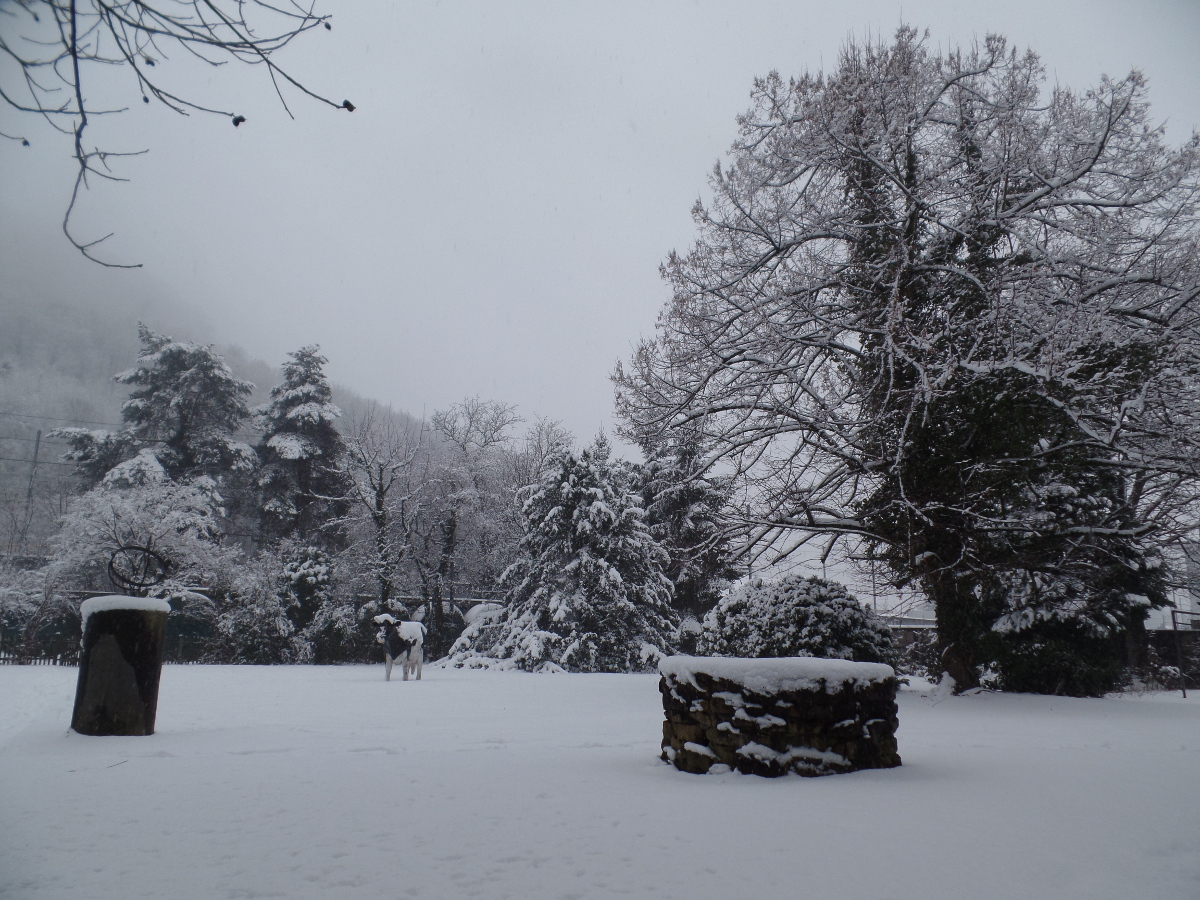 Distillery im Winter